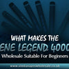 What Makes The ENE Legend 4000 Wholesale Suitable For Beginners? - Simba Vapes Wholesale